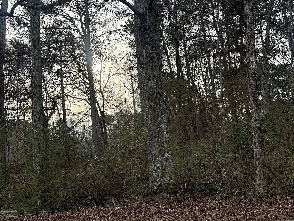 2nd image of 158 Alexander Rd