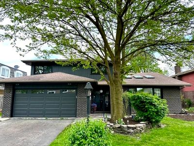 10427 S Alta Dr, Palos Hills, IL, 60465