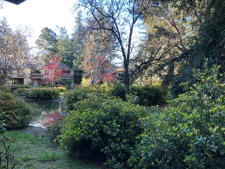 505 Cypress Point Dr #173 — Photo 16