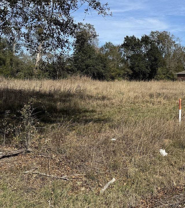2nd image of 0 Highway 90 E