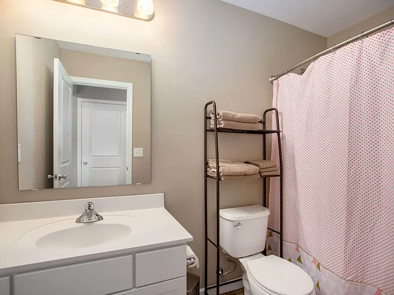 1328 Ellery Grove Ct — Photo 17