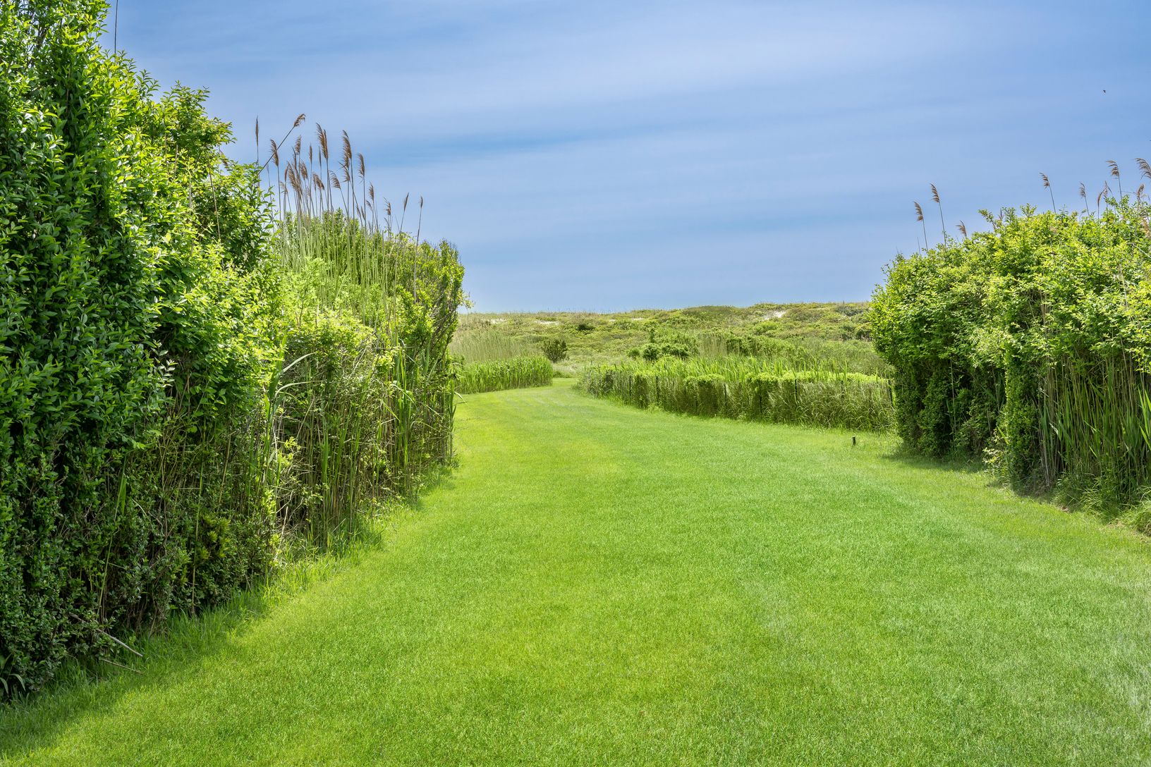  Wide Open Grassy Path for Walking or Golf Carts
