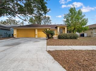11301 Andy Dr, Riverview, FL 33569