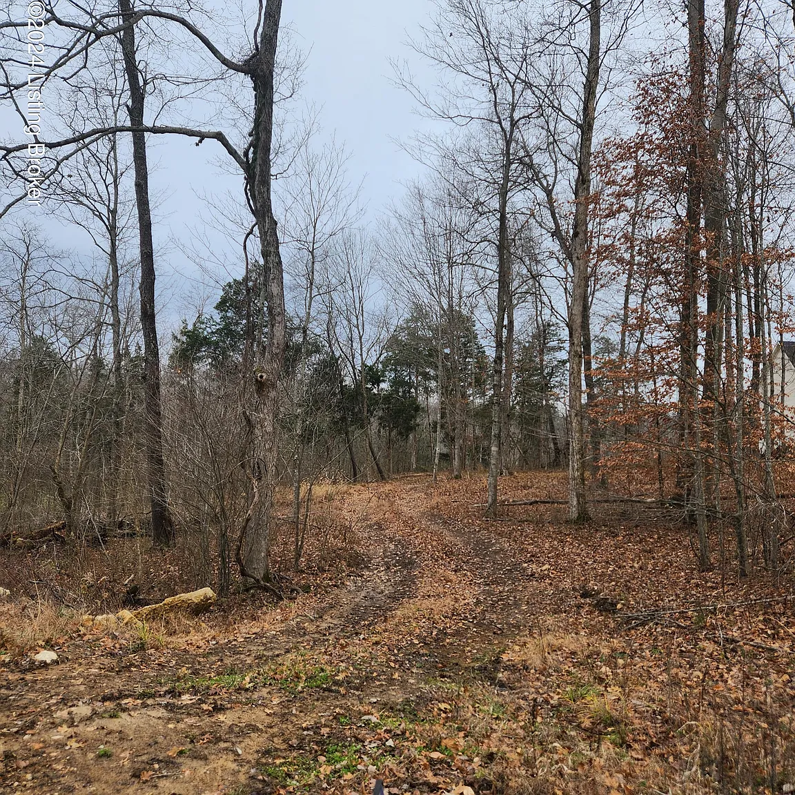 LOT 24 Wood Creek Dr photo 1