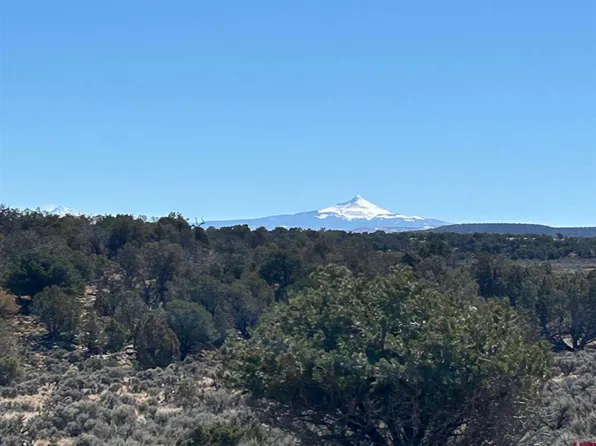 TBD GG25 Road, Naturita, CO 81424