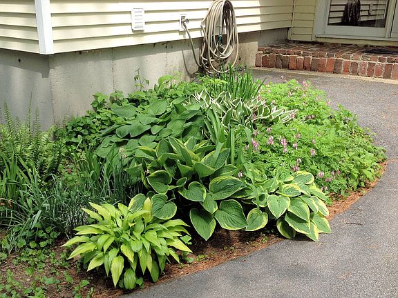 Garden near the front entrance