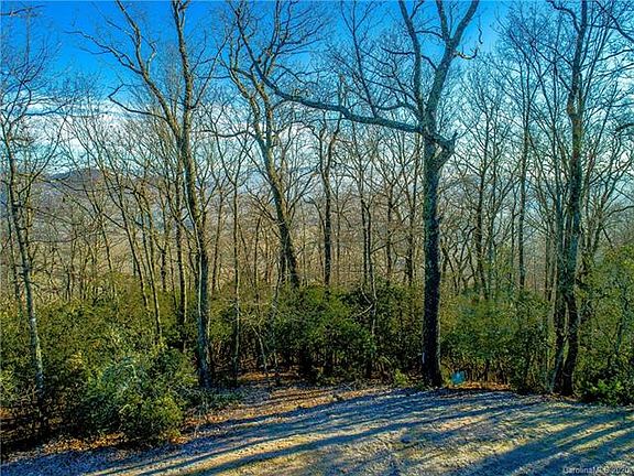 2nd image of 1114 Mills River Way #47