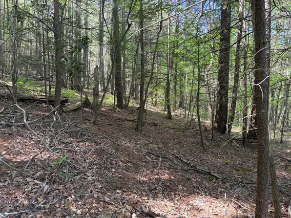 LOT 15 Pocahontas Trl, White Sulphur Springs, WV 24986
