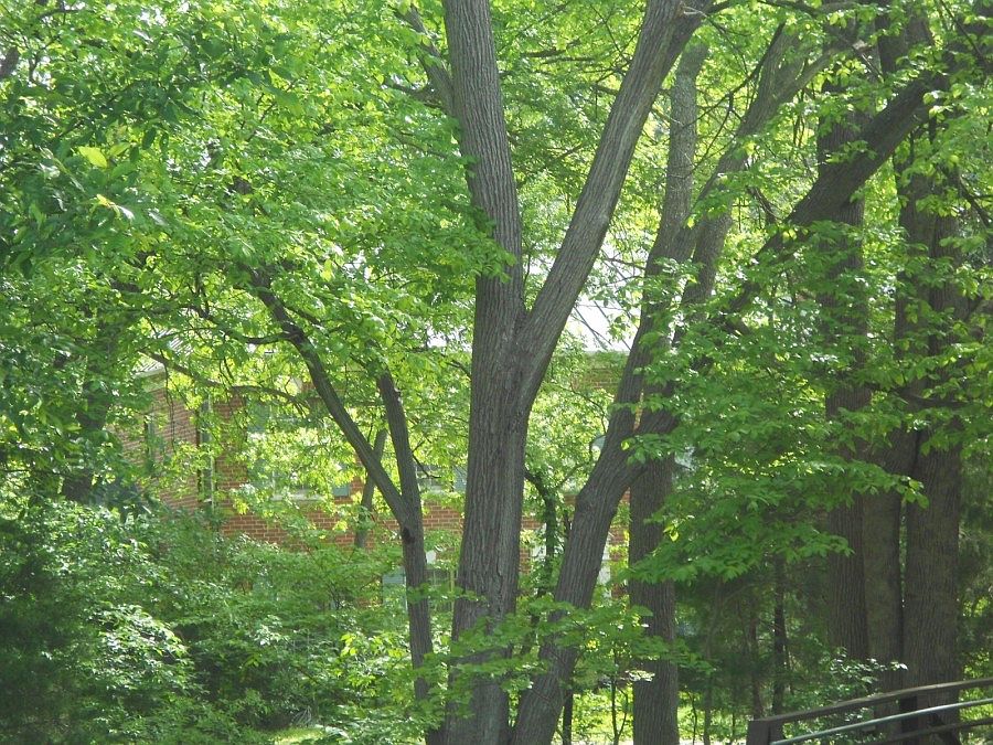 1st image of 400 Oakwood Trl