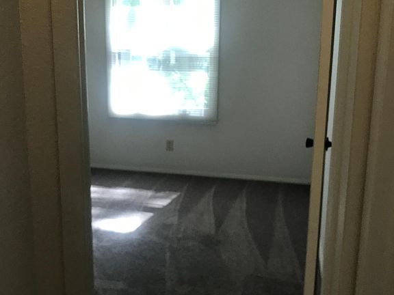 New grey carpet