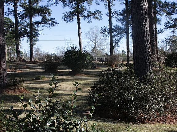 View from Front Porch
