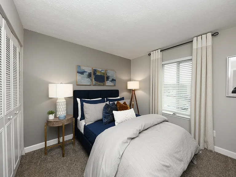 Cozy bedroom with carpet