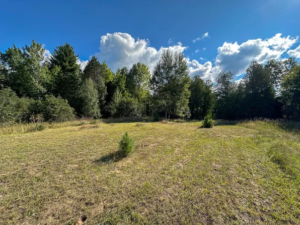 4.43 W 16th Rd, Mesick, MI 49668