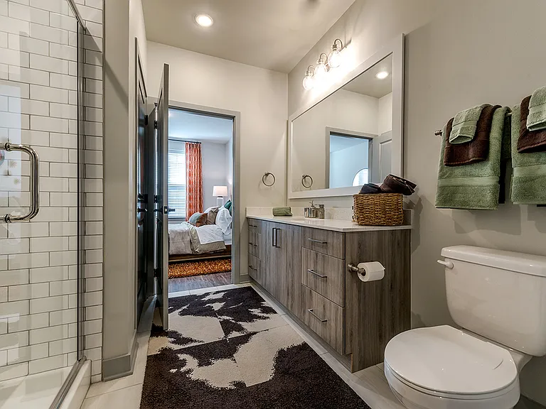Apartment Bathrom