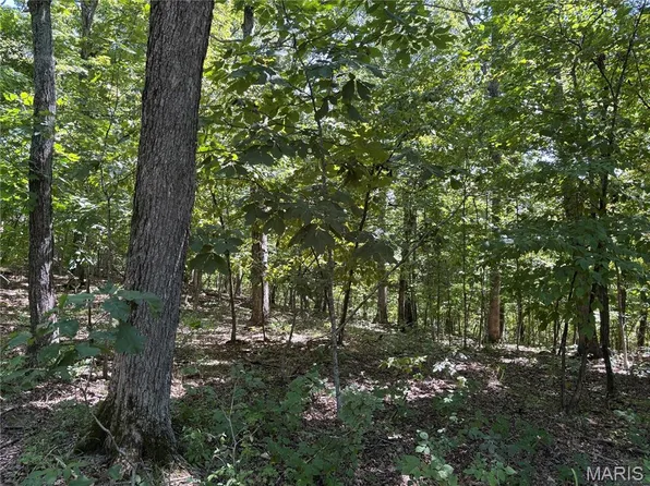 T Warren, Warrenton, MO 63383