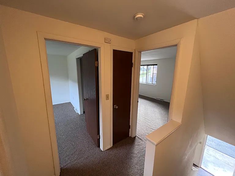 258 Lower Stella Ireland Rd #1 — Photo 9