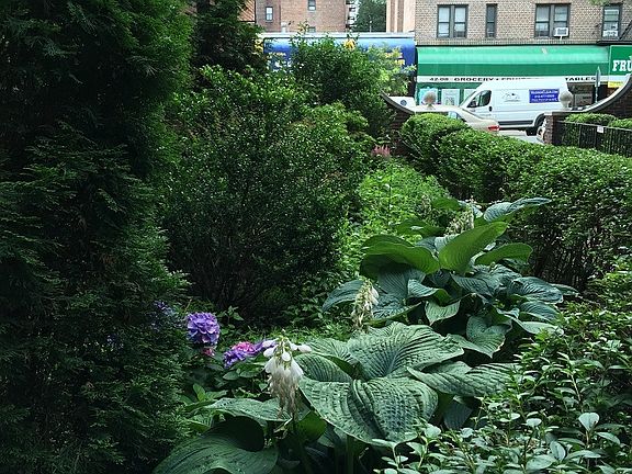 2nd image of 4215 43rd Ave #3FL