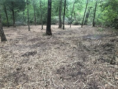 2766 Pin Oak Rd, Franklin, TX, 77856