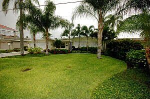 Front Yard