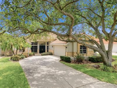 980 LIVE OAK AVENUE NE, Saint Petersburg, FL, 33703