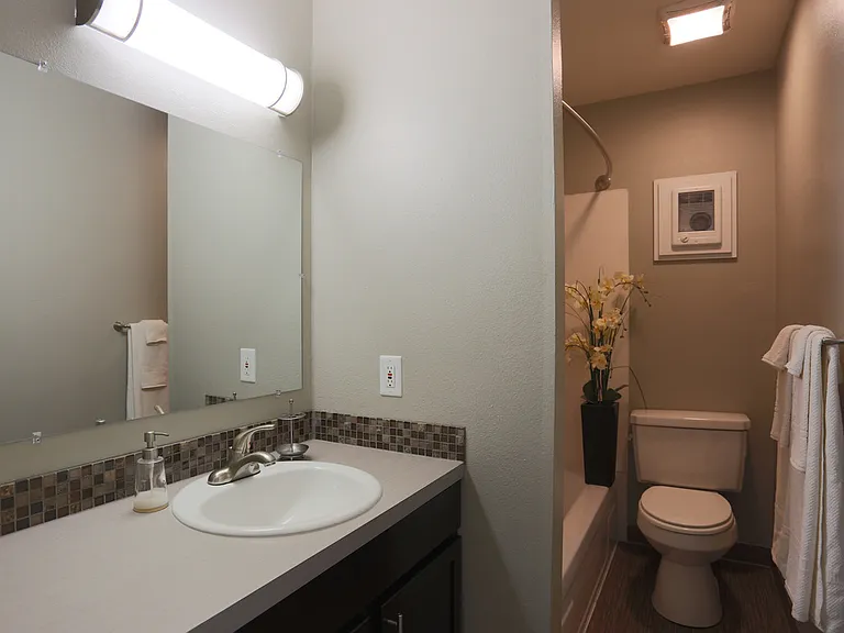 Bathroom - 2 bedroom - 855 sq ft floorplan - Chocolate Color Scheme