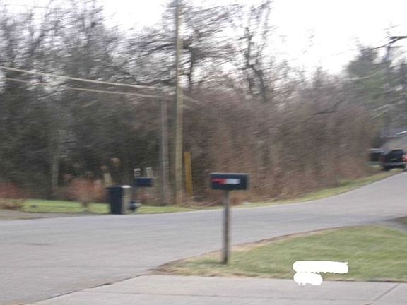 Exterior Neighborhood (street photo)