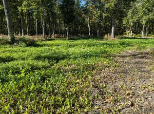 Tbd County 47 NE, Longville, MN 56655