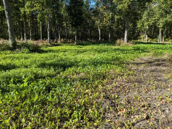 Tbd County 47 NE, Longville, MN 56655