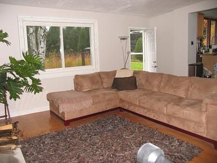 living room w/ fireplace