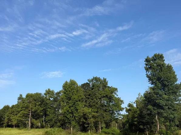 Road 270, Union, MS 39365