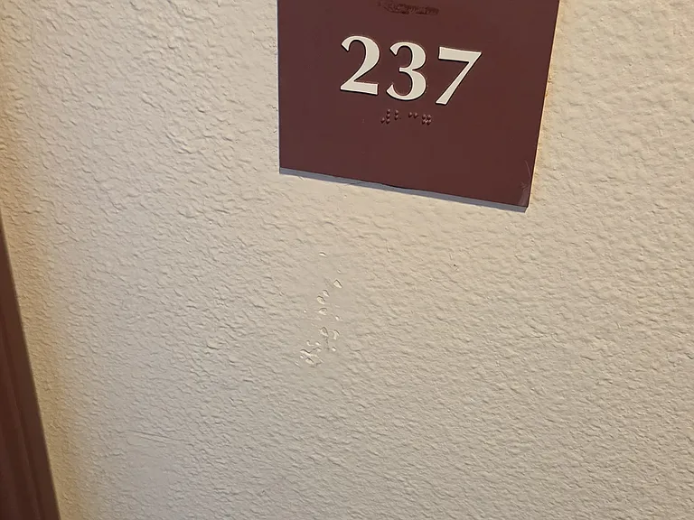 4501 Cedros Ave #237 — Photo 25