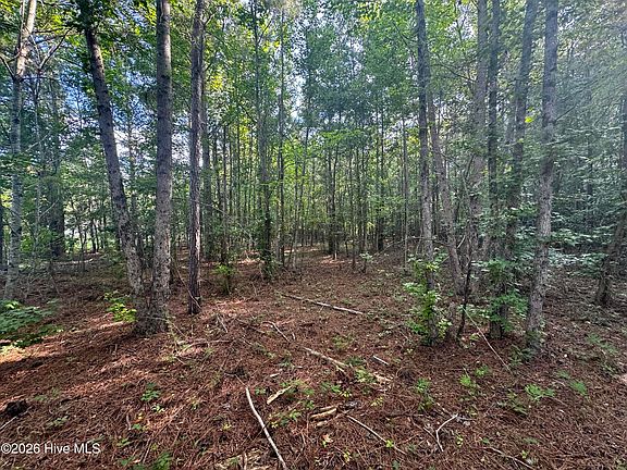 4th image of 285 Dodge Point Drive LOT 18