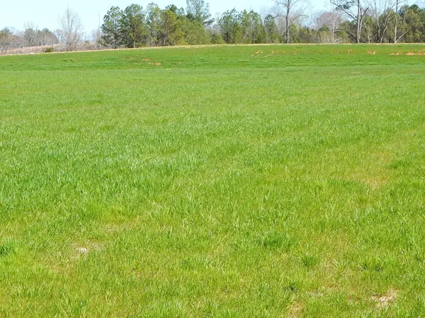 7 Graysport Crossing Rd #7, Gore Springs, MS 38929