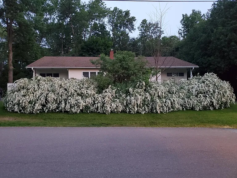 72 Juniper Rdg #A — Photo 39