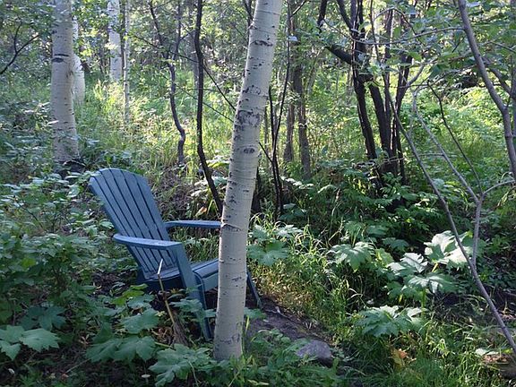 2nd image of 0 Coal Creek Canyon
