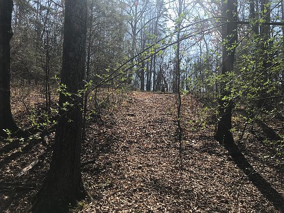 4th image of 433 Peaceful Creek Dr