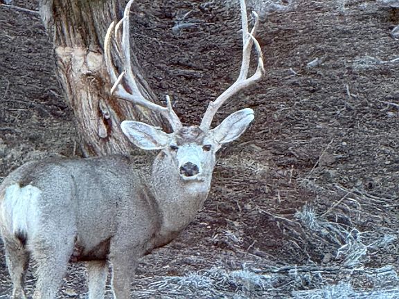 4th image of 2290 Cottage San Rd