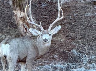 2290 Cottage San Rd, Silver City, NM 88061