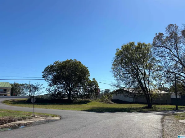 High School St #.20 Acres, Oneonta, AL 35121