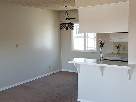 Kitchen Bar/Counter