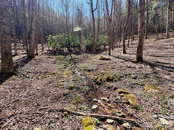 2nd image of George Hayes Rd Tract B