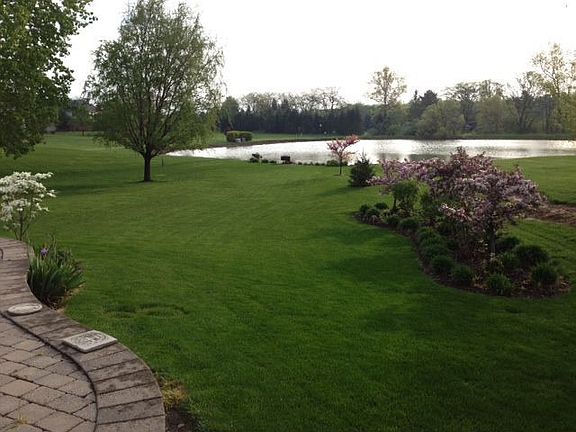 pond view from stone patio