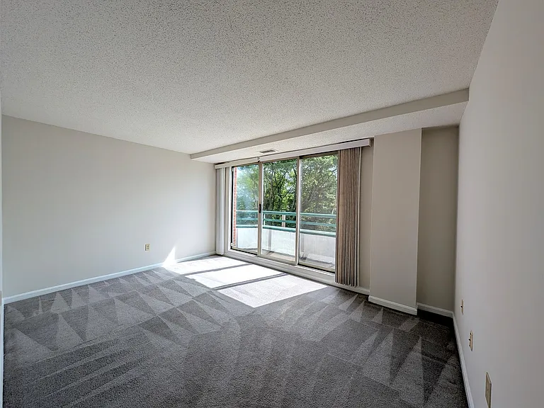 155 Beacon St #3 — Photo 7