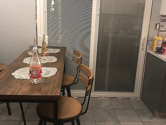 New patio doors with blinds 