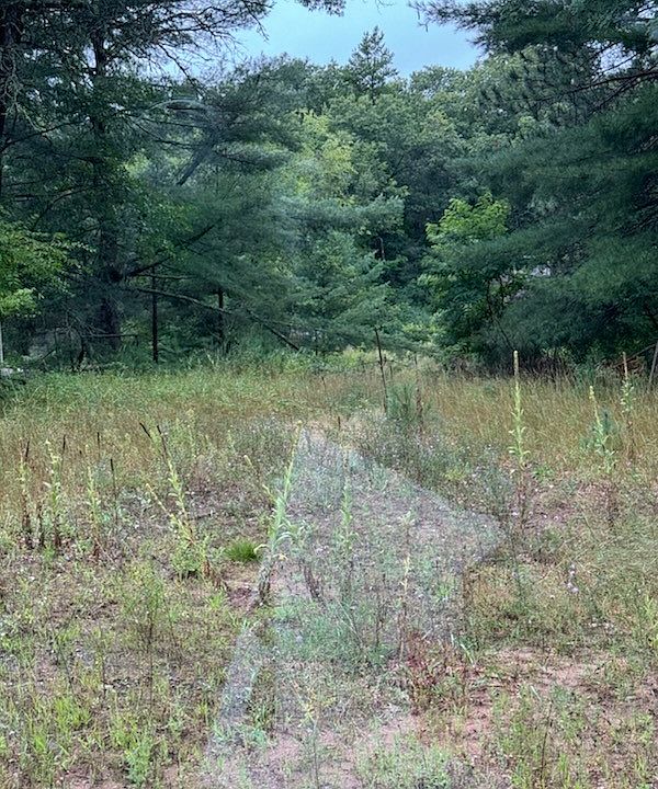 2nd image of 24051 Airport Road