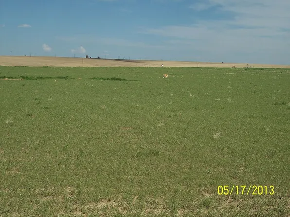 59900 E 88th Ave, Strasburg, CO 80136
