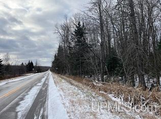 County Road 545 S, Skandia, MI 49885