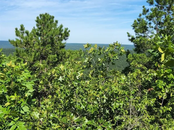 445 Buck Creek Rd, Moyers, OK 74557