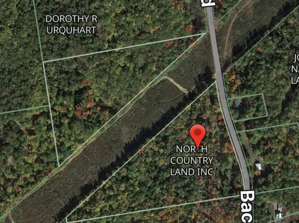 Lot 1 Back Road, Shapleigh, ME 04076