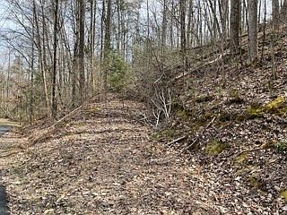 4th image of 17 Shamrock Way Lot 17